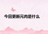 今日更新元肉是什么