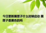 今日更新黑匣子什么时候启动 黑匣子是黑色的吗