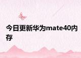 今日更新华为mate40内存