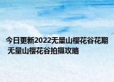 今日更新2022无量山樱花谷花期 无量山樱花谷拍摄攻略