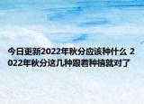 今日更新2022年秋分应该种什么 2022年秋分这几种跟着种植就对了