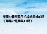 苹果xr是苹果手机续航最好的吗（苹果xr是苹果11吗）