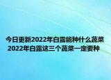今日更新2022年白露能种什么蔬菜 2022年白露这三个蔬菜一定要种