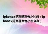 iphonex扬声器声音小沙哑（iphonex扬声器声音小怎么办）