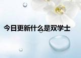 今日更新什么是双学士