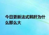 今日更新法式鹅肝为什么那么大