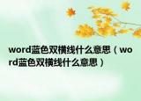 word蓝色双横线什么意思（word蓝色双横线什么意思）