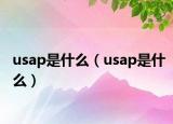 usap是什么（usap是什么）