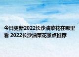 今日更新2022长沙油菜花在哪里看 2022长沙油菜花景点推荐