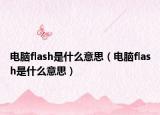 电脑flash是什么意思（电脑flash是什么意思）
