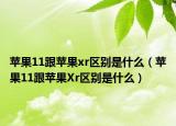 苹果11跟苹果xr区别是什么（苹果11跟苹果Xr区别是什么）