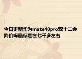 今日更新华为mate40pro双十二会降价吗最低是在七千多左右