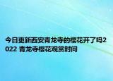 今日更新西安青龙寺的樱花开了吗2022 青龙寺樱花观赏时间