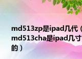 md513zp是ipad几代（md513cha是ipad几寸的）