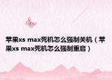 苹果xs max死机怎么强制关机（苹果xs max死机怎么强制重启）