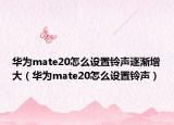 华为mate20怎么设置铃声逐渐增大（华为mate20怎么设置铃声）