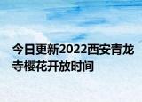 今日更新2022西安青龙寺樱花开放时间