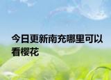 今日更新南充哪里可以看樱花