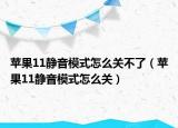 苹果11静音模式怎么关不了（苹果11静音模式怎么关）
