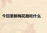 今日更新梅花鹿吃什么