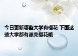 今日更新哪些大学有樱花 下面这些大学都有漂亮樱花哦