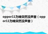 oppor11为啥突然没声音（oppor11为啥突然没声音）