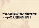 wps怎么把图片嵌入到单元格里（wps怎么把图片半透明）