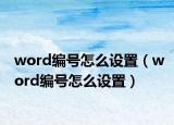 word编号怎么设置（word编号怎么设置）