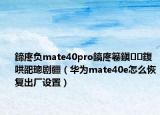 鍗庝负mate40pro鎬庝箞鎭㈠鍑哄巶璁剧疆（华为mate40e怎么恢复出厂设置）