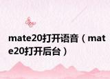 mate20打开语音（mate20打开后台）