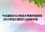 今日更新2022年武大早樱开放时间 2022年武大樱花什么时候开放