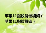 苹果11指纹解锁视频（苹果11指纹解锁）