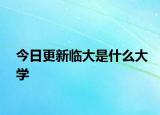 今日更新临大是什么大学