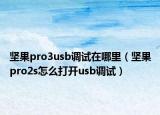 坚果pro3usb调试在哪里（坚果pro2s怎么打开usb调试）