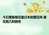 今日更新樱花是日本的国花吗 樱花有几种颜色