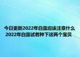 今日更新2022年白露应该注意什么 2022年白露试着种下这两个宝贝
