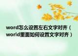 word怎么设置左右文字对齐（world里面如何设置文字对齐）