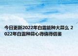今日更新2022年白露能种大蒜么 2022年白露种蒜心得值得借鉴