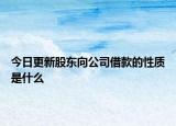 今日更新股东向公司借款的性质是什么