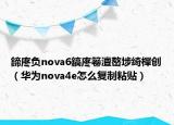 鍗庝负nova6鎬庝箞澶嶅埗绮樿创（华为nova4e怎么复制粘贴）