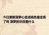 今日更新菠萝心变成褐色是变质了吗 菠萝的功效是什么