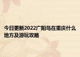 今日更新2022广阳岛在重庆什么地方及游玩攻略