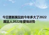 今日更新属鼠的今年多大了2022 属鼠人2022年爱情运势