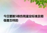 今日更新5级伤残鉴定标准及赔偿是怎样的