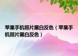 苹果手机照片黑白反色（苹果手机照片黑白反色）