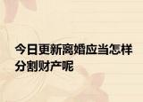 今日更新离婚应当怎样分割财产呢