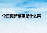 今日更新芽菜是什么菜