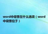 word中背景在什么选项（word中背景位于）