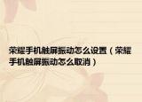 荣耀手机触屏振动怎么设置（荣耀手机触屏振动怎么取消）