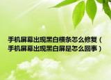 手机屏幕出现黑白横条怎么修复（手机屏幕出现黑白屏是怎么回事）